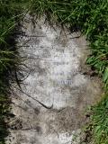 image of grave number 689923